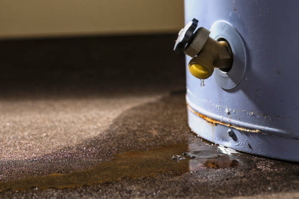 Best Professional water damage repair  in Lansdowne, PA