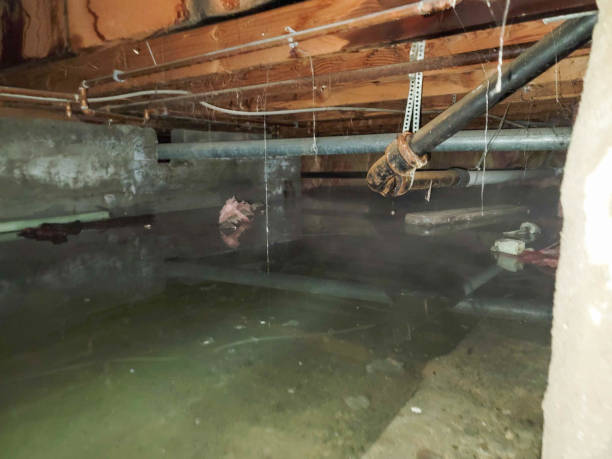 Best Emergency water damage restoration  in Lansdowne, PA