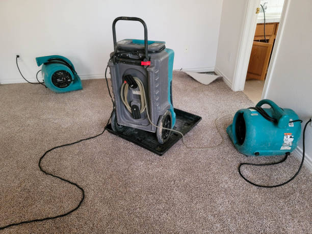 Best Water damage contractors near me  in Lansdowne, PA