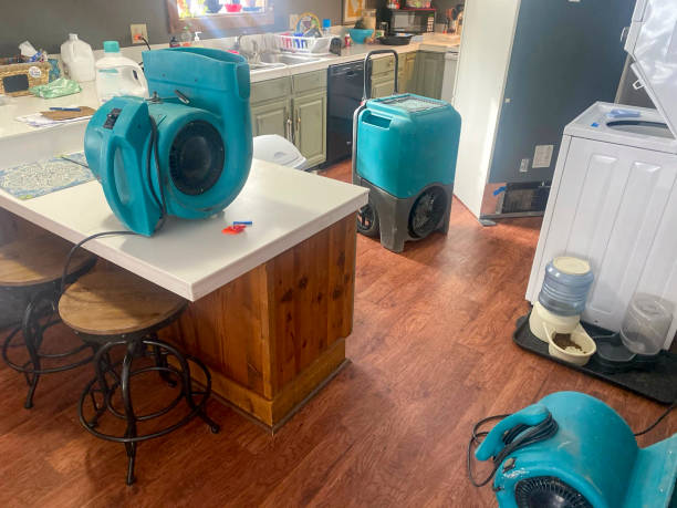 Best 24/7 water damage repair  in Lansdowne, PA