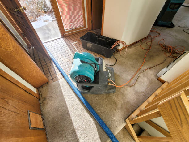 Best Flood restoration services  in Lansdowne, PA