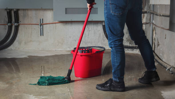Best Sewage cleanup and water damage restoration  in Lansdowne, PA