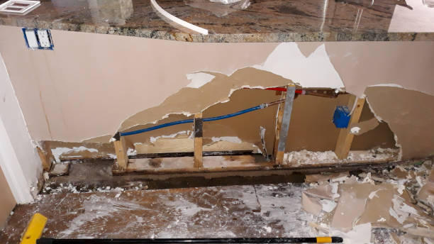 Best Flooded house restoration  in Lansdowne, PA