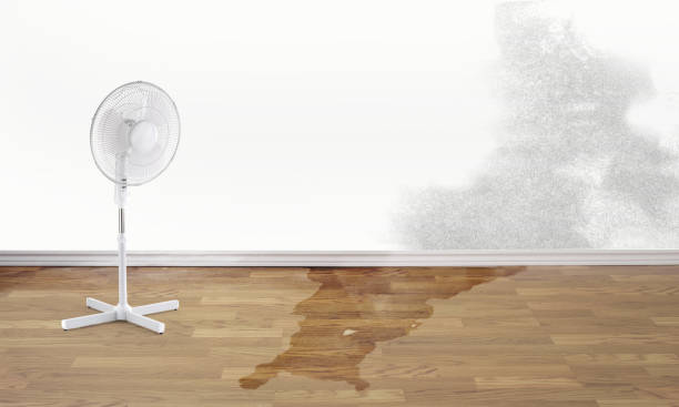 Best Commercial water damage restoration  in Lansdowne, PA