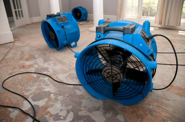 Best Local water damage restoration  in Lansdowne, PA