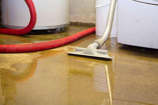 Best Water damage restoration services  in Lansdowne, PA