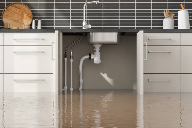 Best Flooded house restoration  in Lansdowne, PA