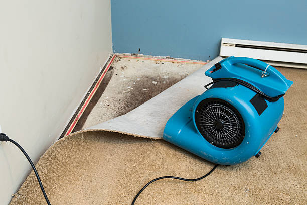 Best Water damage restoration near me  in Lansdowne, PA